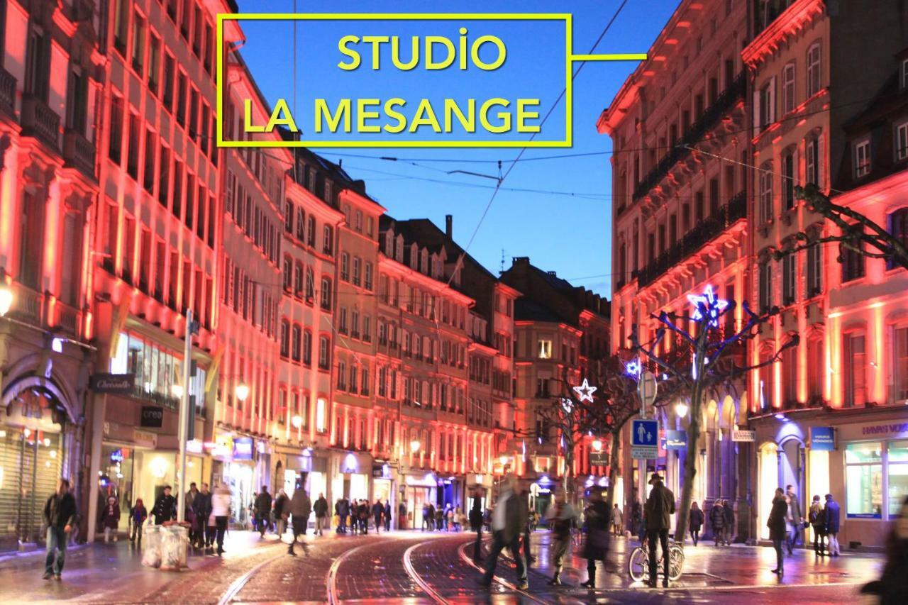 Studio La Mesange Strasbourg Exteriör bild